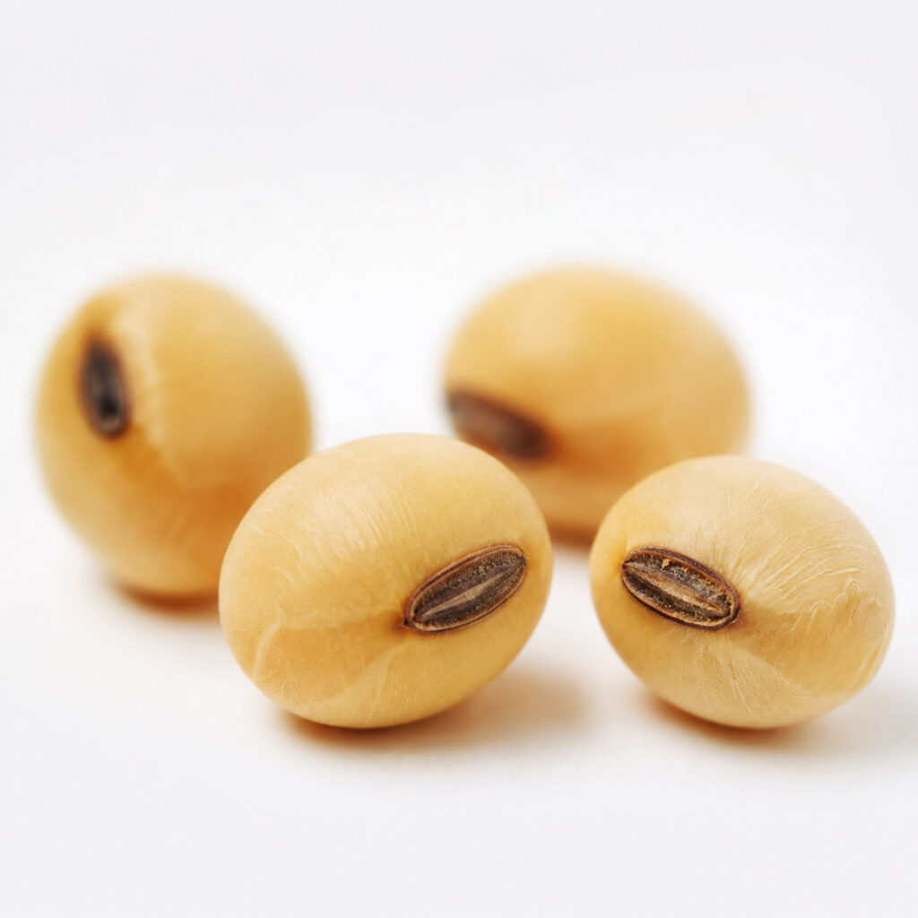 大豆由来のリン脂質